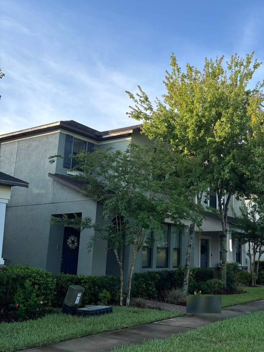 Townhome frontage before additional pruning, with fuller branches along the sidewalk