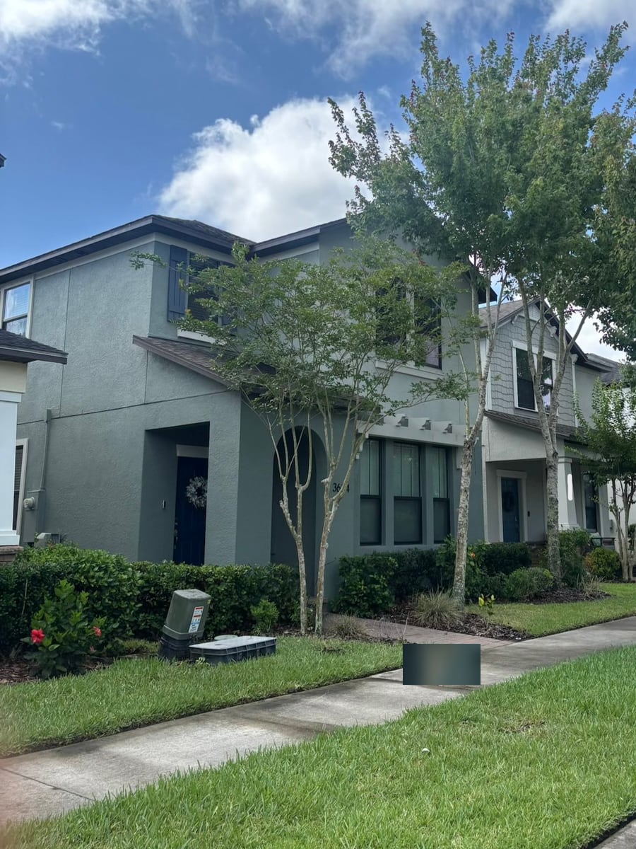 Townhome frontage after pruning, with improved clearance and a cleaner canopy line