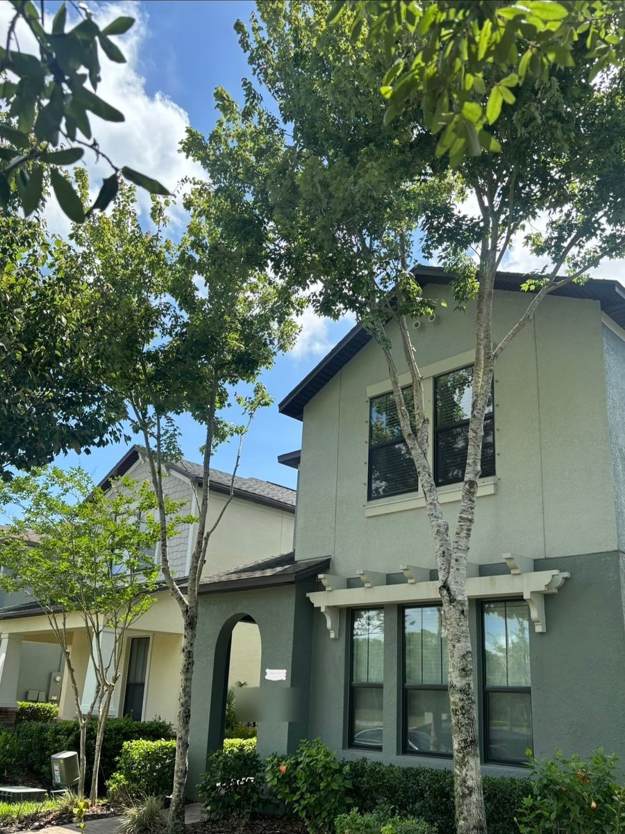Townhome frontage after pruning with cleaner canopy shape and improved clearance